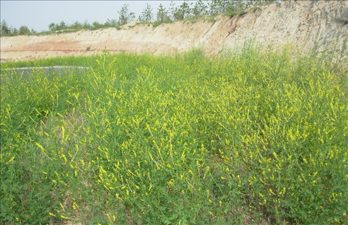 DSCN3415.JPG