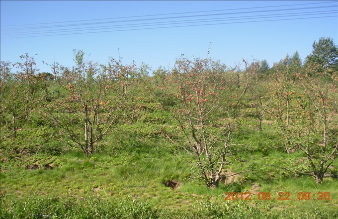 DSCN3837.JPG