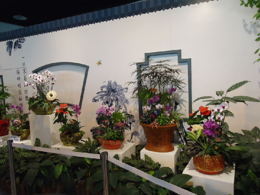 DSC01083_副本.jpg