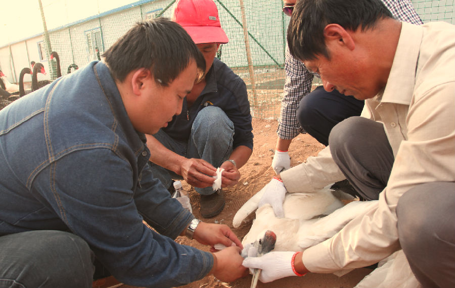 QQ截圖20140915172949.png